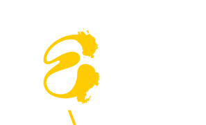 FEED by TBWA logo