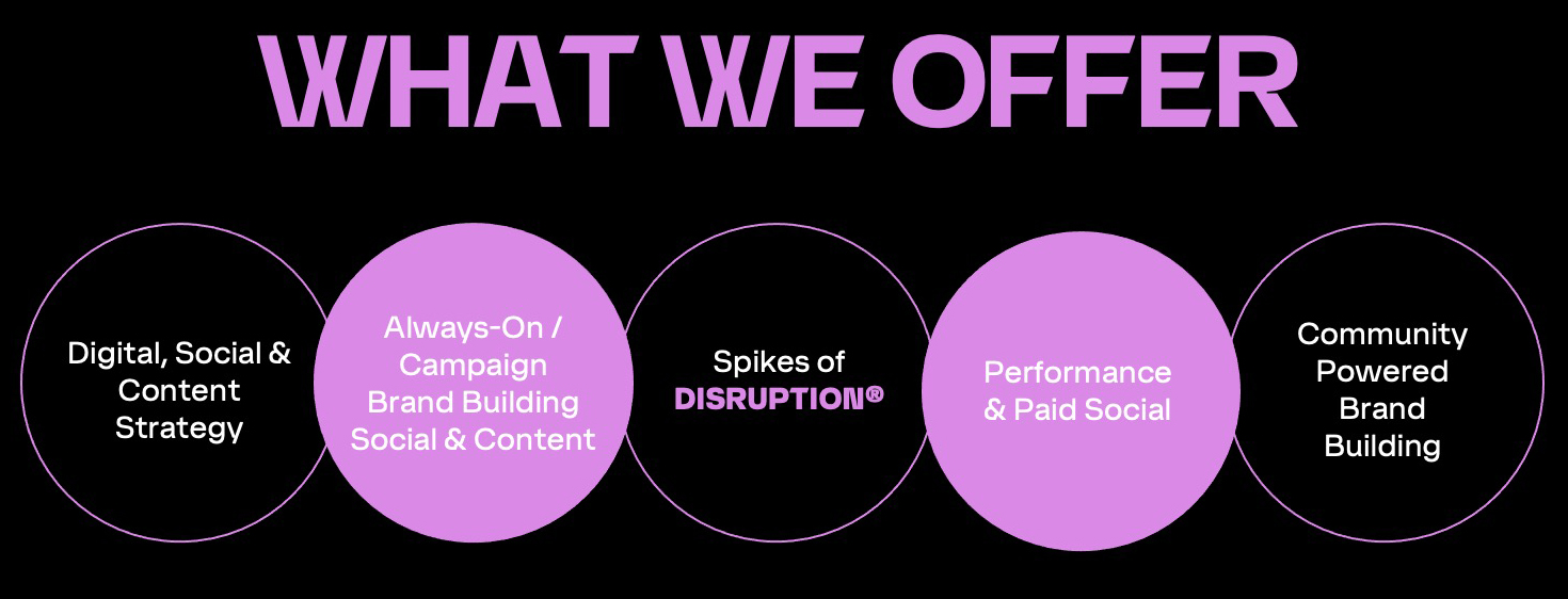 What we offer