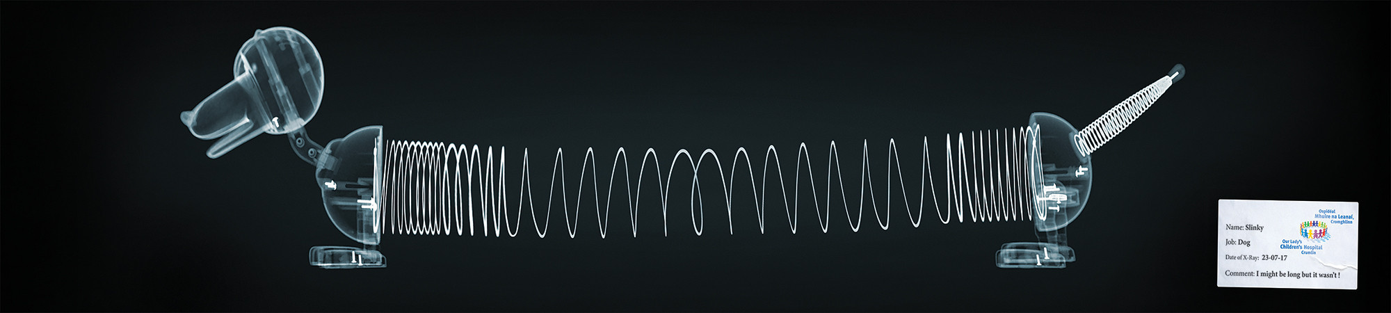 Slinky X-Ray Landscape 2